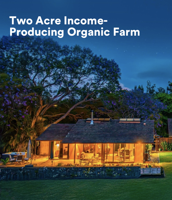 Maui Featured Favorites