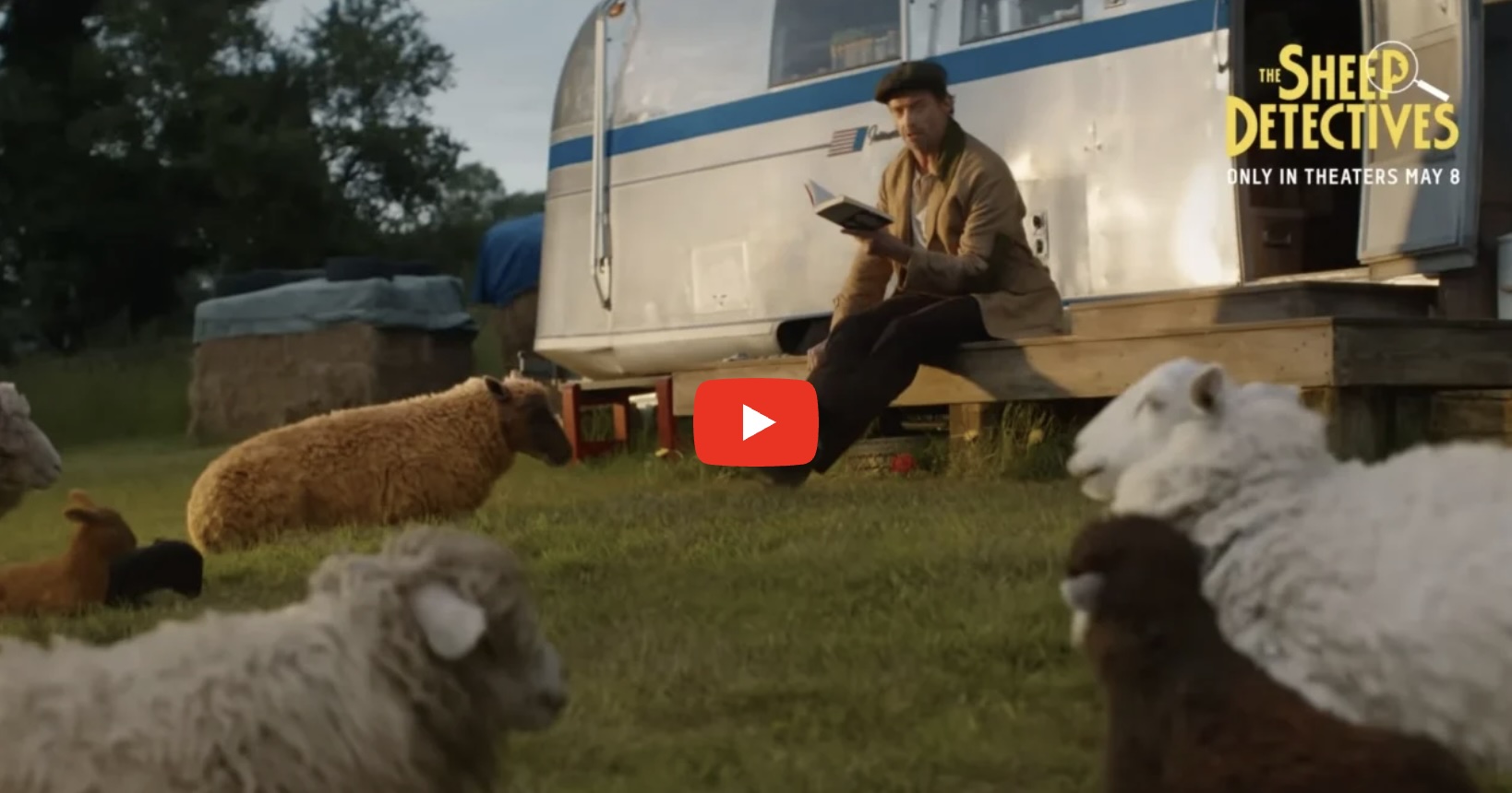 Sheep Trailer