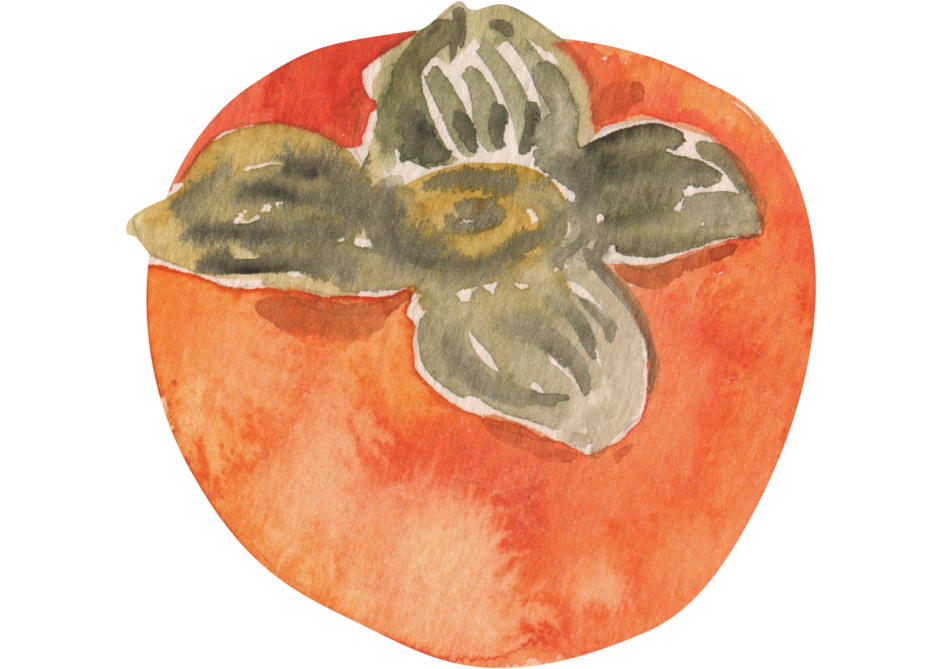 Persimmon