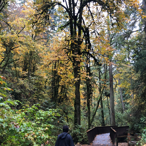 Hikes Around Portland